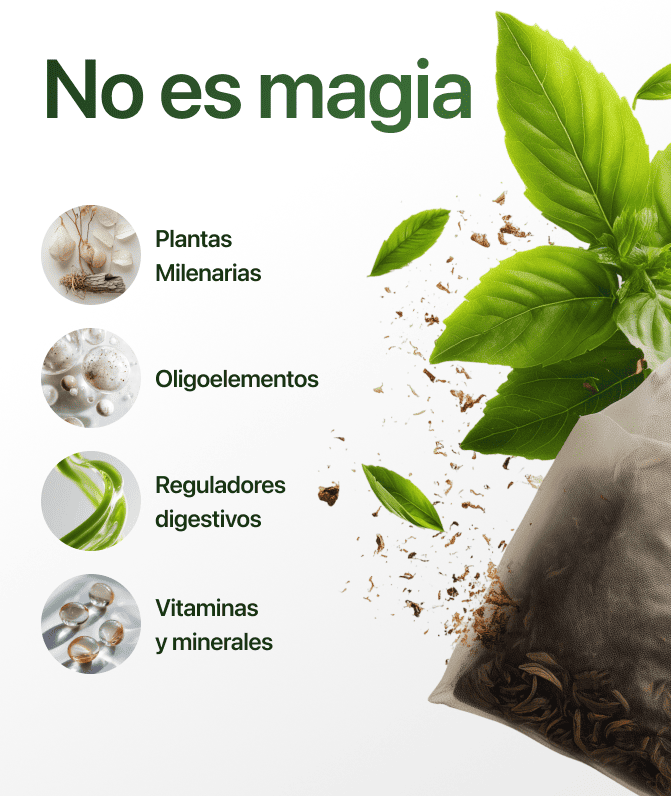 Ilívit - Depurador 100% natural